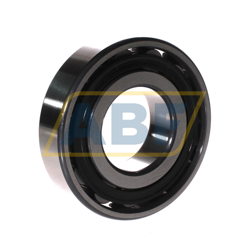 N310-E-XL-TVP2-C3 FAG