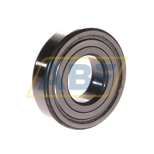 RLS9-2Z SKF