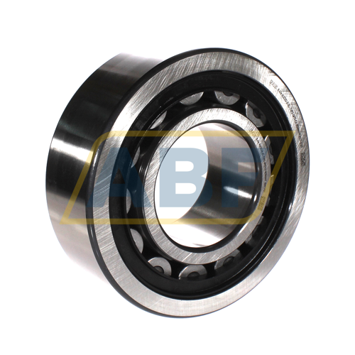 NJ2322-E-XL-TVP2-QP51-C4 FAG