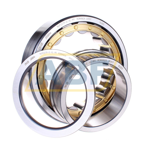 NUP2219-E-XL-M1 FAG