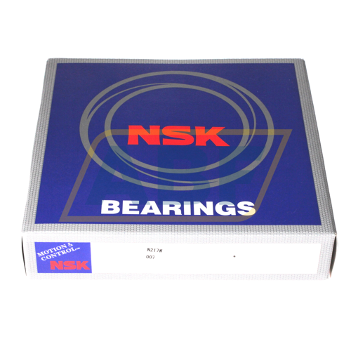 N217W NSK