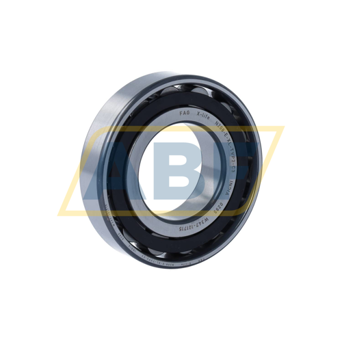 N208-E-XL-TVP2-C3 FAG