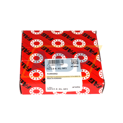 N213-E-XL-M1 FAG