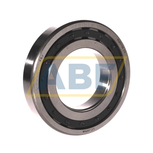NUP213E C3 FBJ