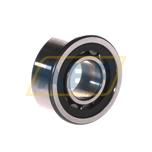 NU2204-E-XL-TVP2 FAG