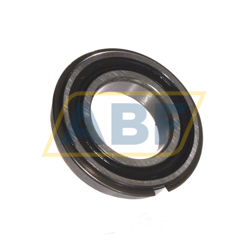 6007-2RS1NR SKF