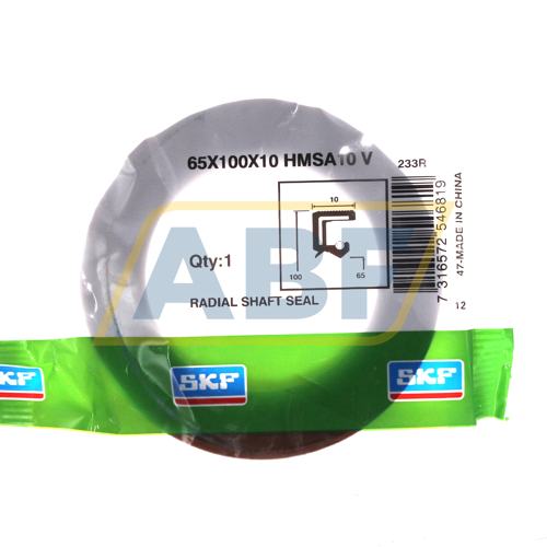 65X100X10HMSA10V SKF