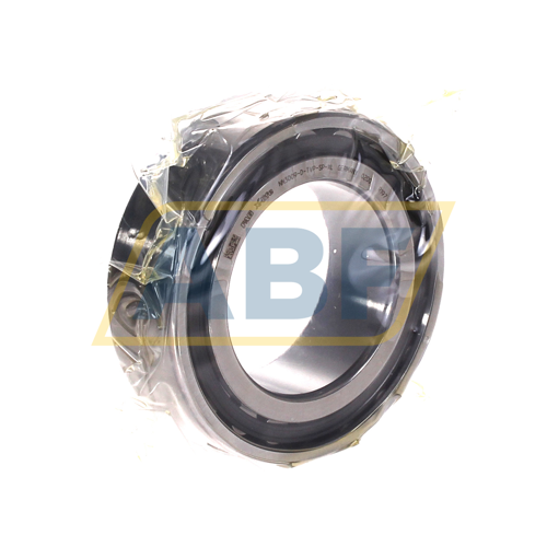 NN3009-D-TVP-SP-XL FAG