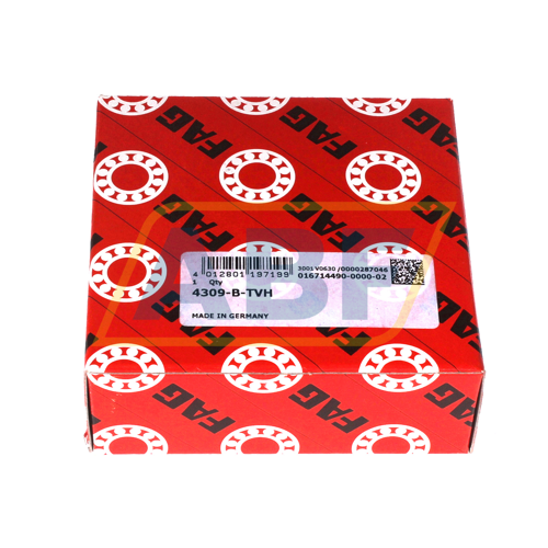 4309-B-TVH FAG