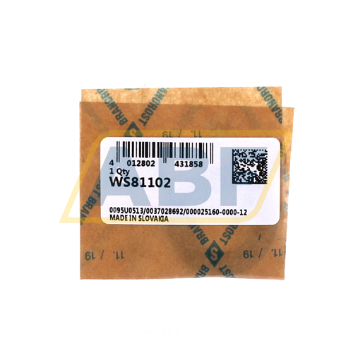 WS81102 INA