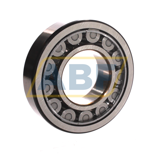 NJ313ECJ SKF