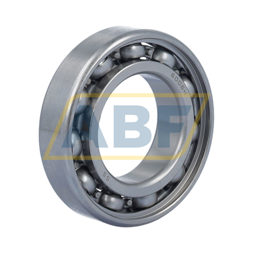W6006 SKF