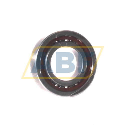 B71901-E-T-P4S-DUL FAG