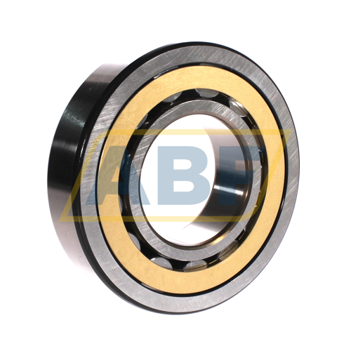 NJ316ECM/C4VA301 SKF