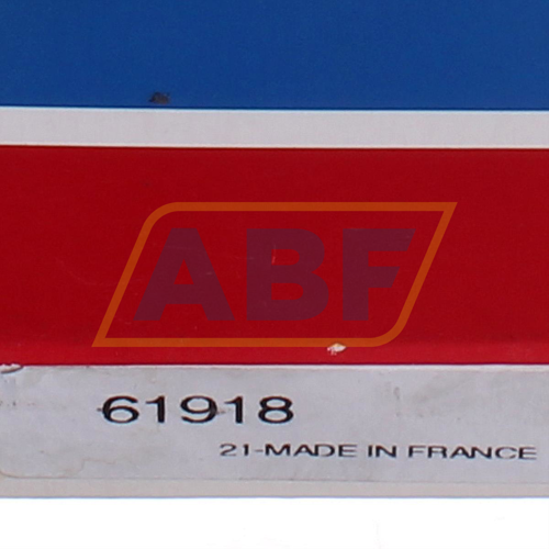 61918 SKF