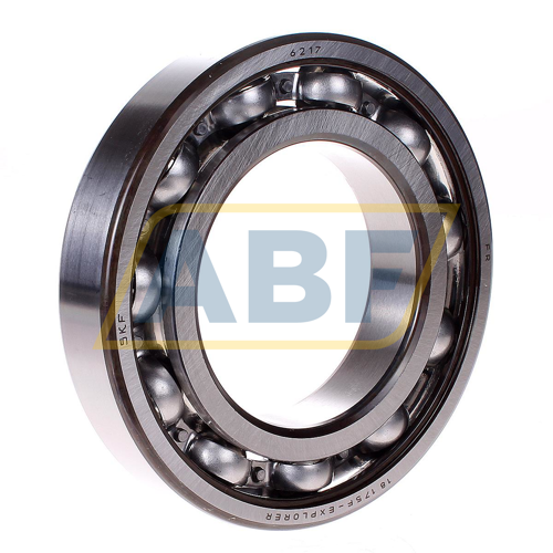 6217 SKF