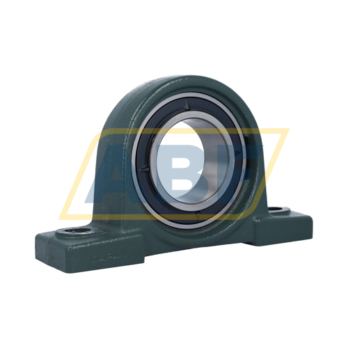 UKP217D1 NSK