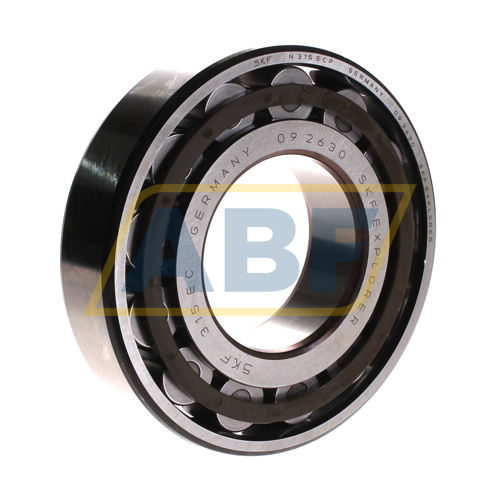 N315ECP SKF