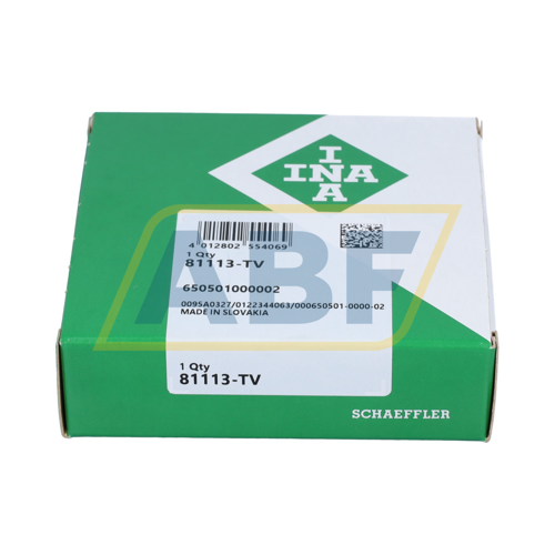 81113-TV INA