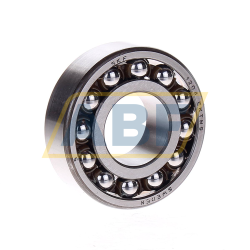1204EKTN9 SKF
