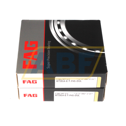 B71914-E-T-P4S-DUL FAG