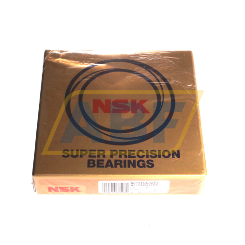 6217TCG12P4 NSK