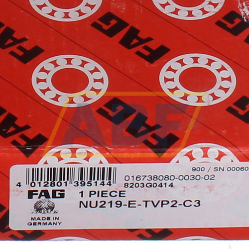 NU219E.TVP2.C3 FAG