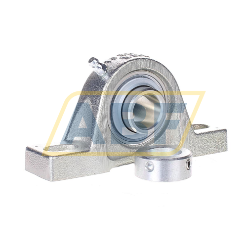 RASE20-XL-N-FA125 INA