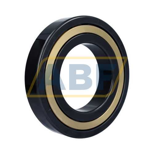 NJ224-E-XL-M1-J30PC-C3 FAG