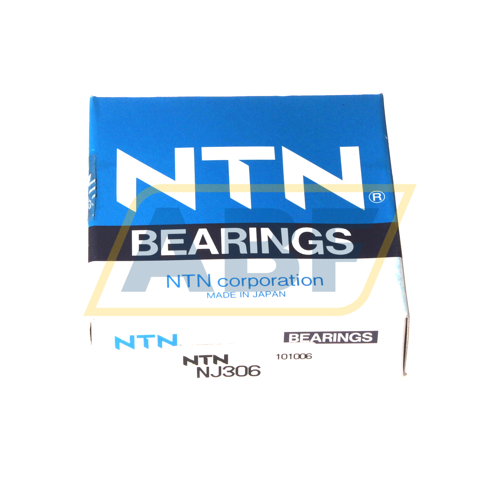 NJ306 NTN