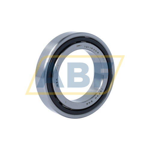 N1011RXTPKRCC0P4Y NSK