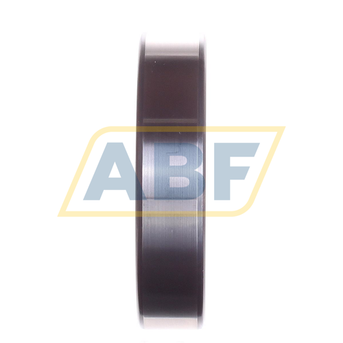 LN209E SKF
