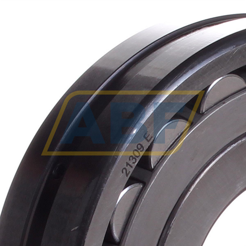 21309E SKF