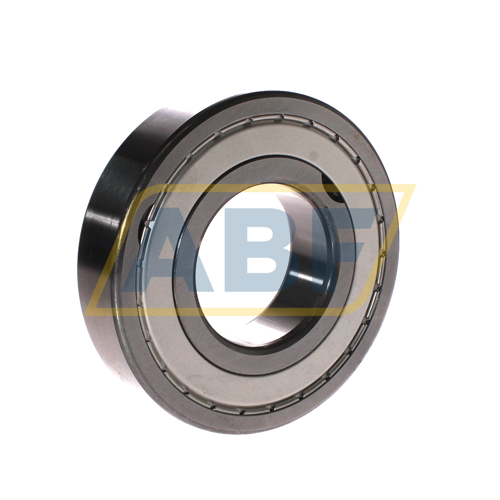 313-2Z SKF