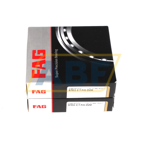 B7011-E-T-P4S-DUM FAG