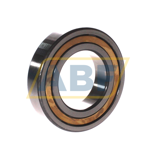 NJ210-E-XL-M1-C3 FAG