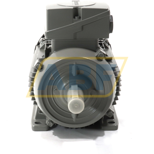 1LE1003-1AA42-2AA4 Siemens