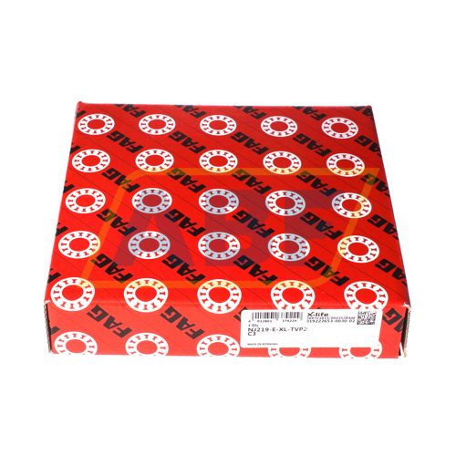 NJ219-E-XL-TVP2-C3 FAG