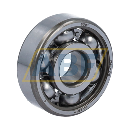 6301 SKF
