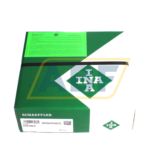 SL07022 INA