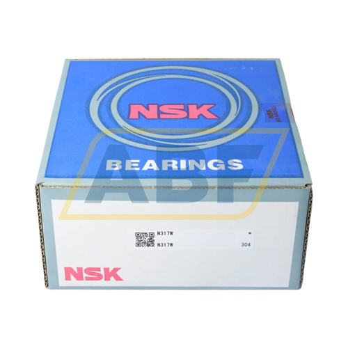 N317W NSK