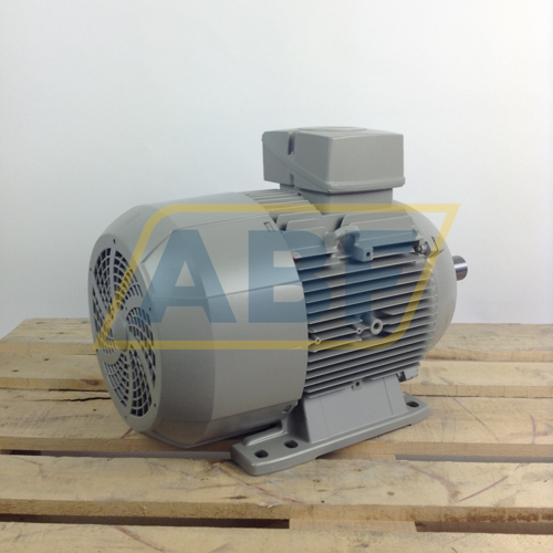 1LE1001-1DA22-2AA4 Siemens