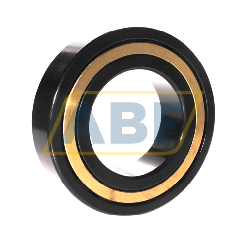 NJ2220-E-M1-J30PC-C3 FAG