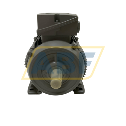 1LE1004-1CB23-4AA4 Siemens