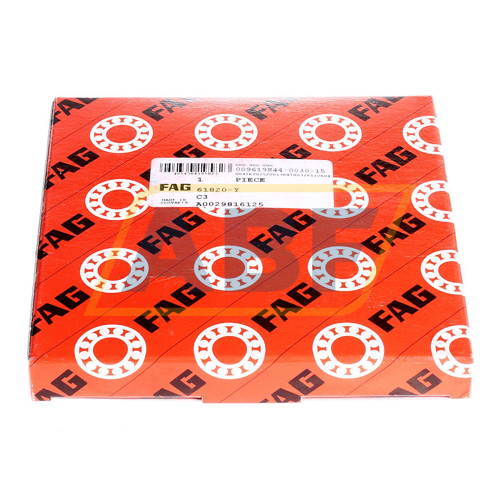 61820-Y FAG