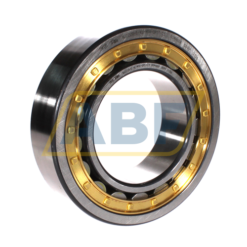 NJ2220-E-XL-M1A-QP51-C3 FAG