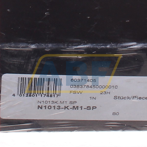 N1013-K-M1-SP FAG