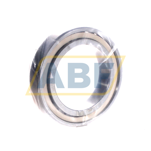 N1012-K-PVPA1-SP FAG