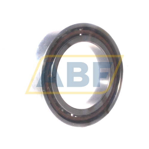 B71906-E-T-P4S-UM FAG