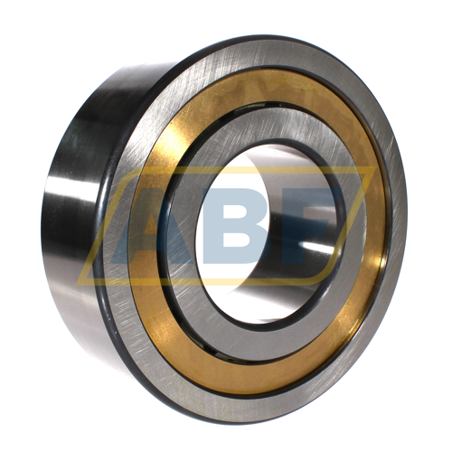 NJ2322-E-M1A-QP51-C3 FAG